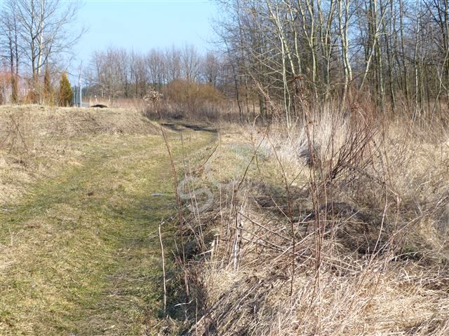 Działka rolna Dziecinów