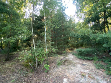 Działka budowlana Niemianowice