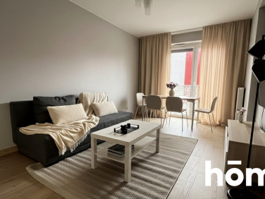 Mieszkanie apartamentowiec wynajem