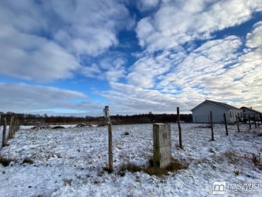 Działka budowlana Stara Dąbrowa