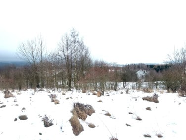 Działka rolna Grzmiąca sprzedam