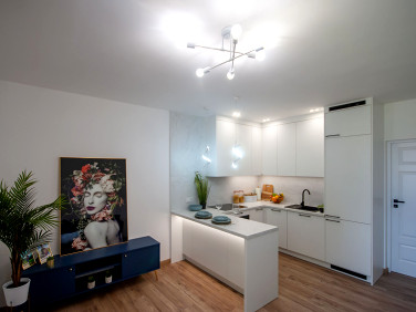 Mieszkanie Lewin Brzeski