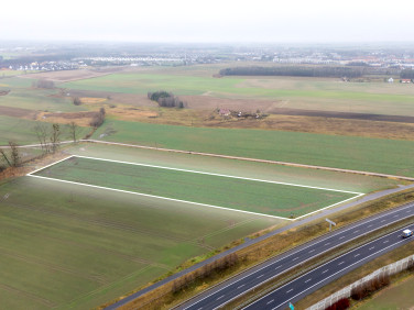 Działka rolna Kiekrz