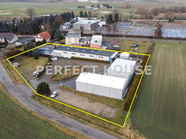 Budynek użytkowy Kostrzyn