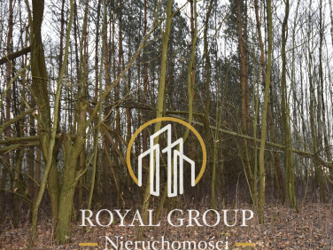 Działka leśna Jawidz