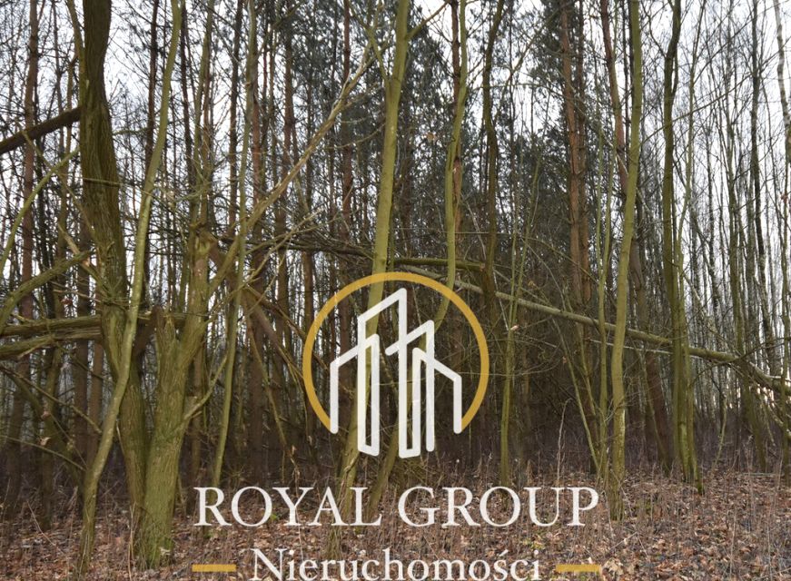 Działka leśna Jawidz