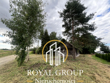 Działka siedliskowa Gołąb