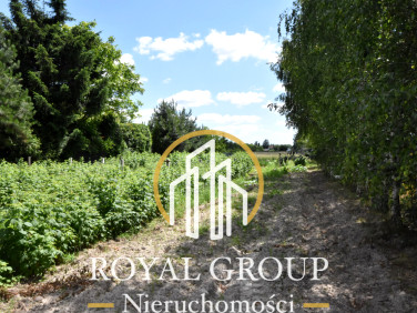 Działka budowlana Lubartów