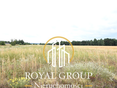 Działka siedliskowa Górka