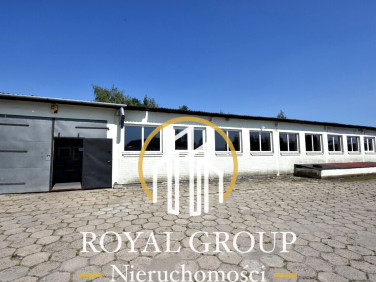 Lokal Łucka-Kolonia