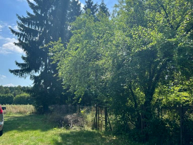 Działka rekreacyjna Lutol Mokry