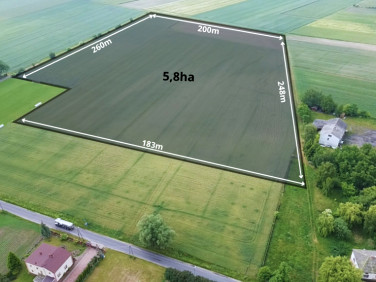 Działka Niedźwiada