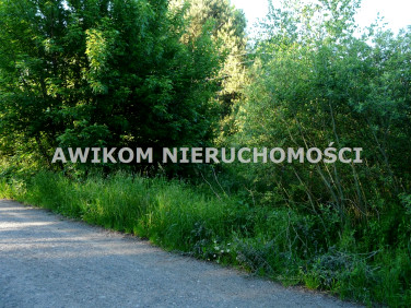 Działka siedliskowa Antoniew