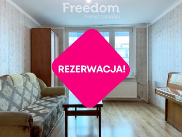 Mieszkanie Włocławek