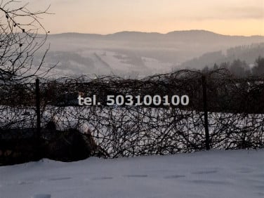 Mieszkanie w górach