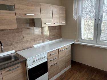 Mieszkanie blok mieszkalny wynajem