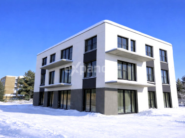 Mieszkanie Poznań sprzedaż