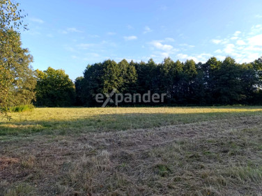 Działka budowlana Chocianów