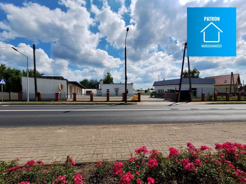 Lokal Kowalewo Pomorskie wynajem