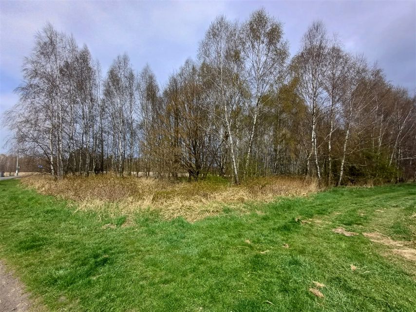 Działka usługowa Wodzisław Śląski