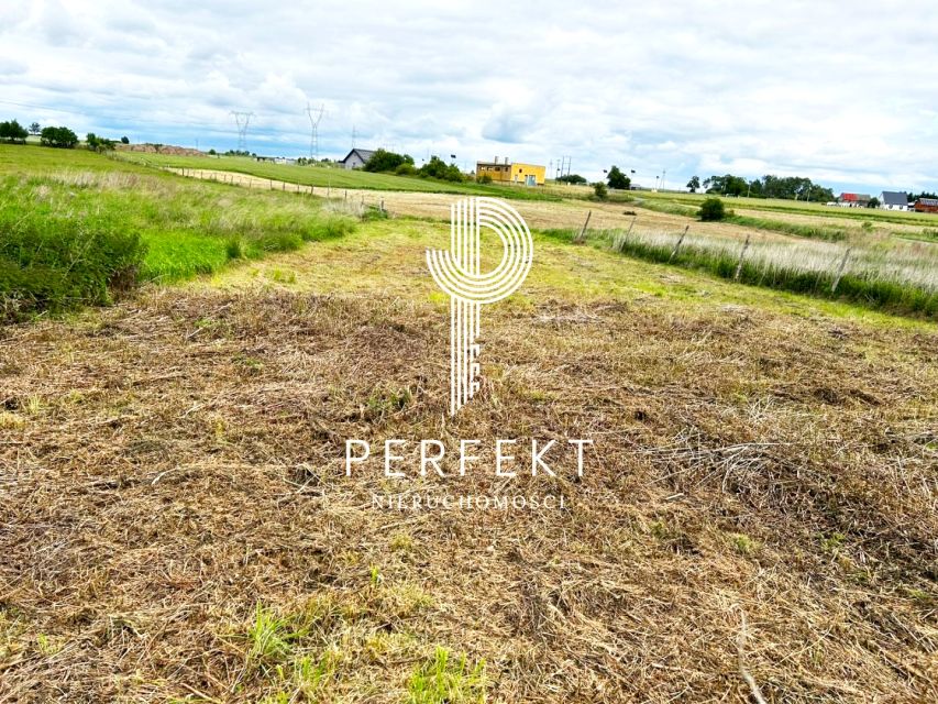 Pusta działka Parsów