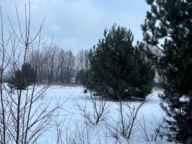 Działka budowlana Borzęcin Duży