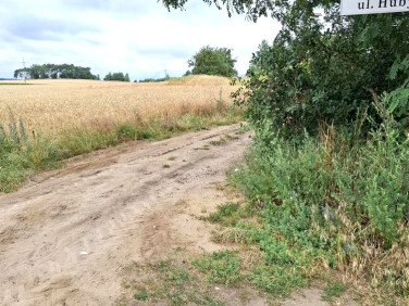 Działka Grzebienisko