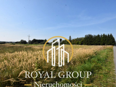 Działka inna Kamionka