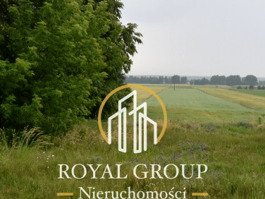 Działka inna Ostrówek