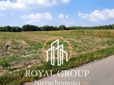 Działka rolna Rudno