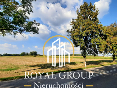 Działka rolna Rudno