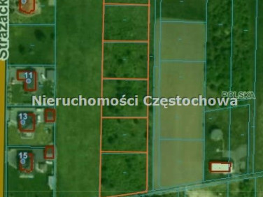 Pusta działka Cisie