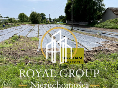 Działka budowlana Nasutów