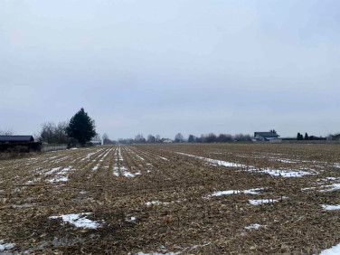 Pusta działka Opiesin