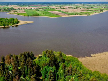 Działka siedliskowa Orzechówka