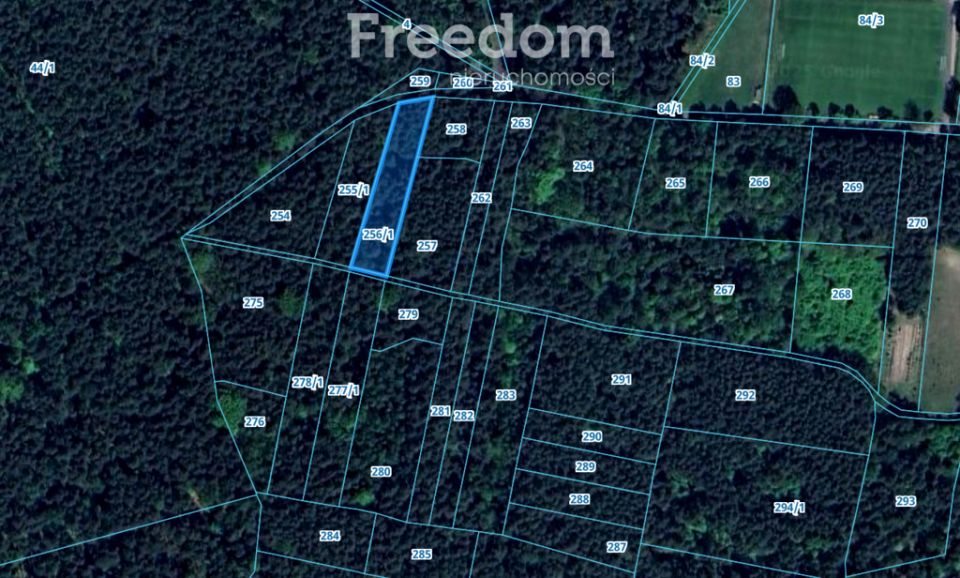 Działka leśna Rybnik