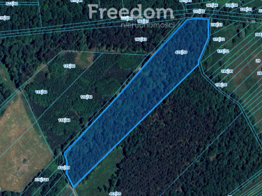 Działka leśna Pilchowice