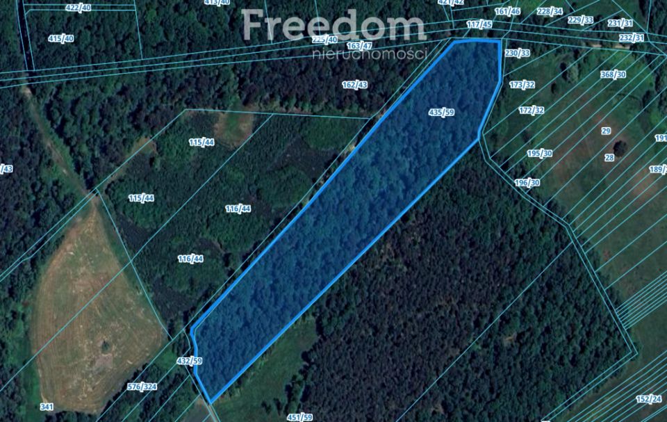 Działka leśna Pilchowice