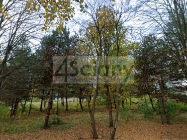 Działka budowlana Rozalin