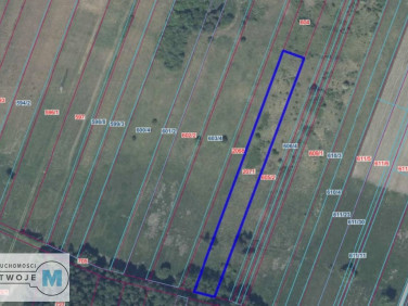 Działka rolna Kostomłoty Drugie sprzedam