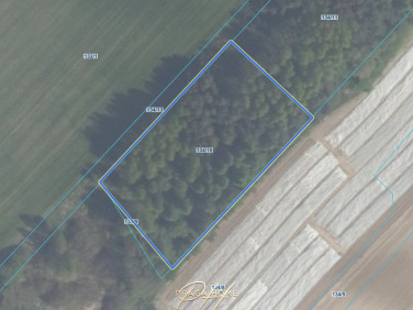 Działka budowlana Zwierzewo