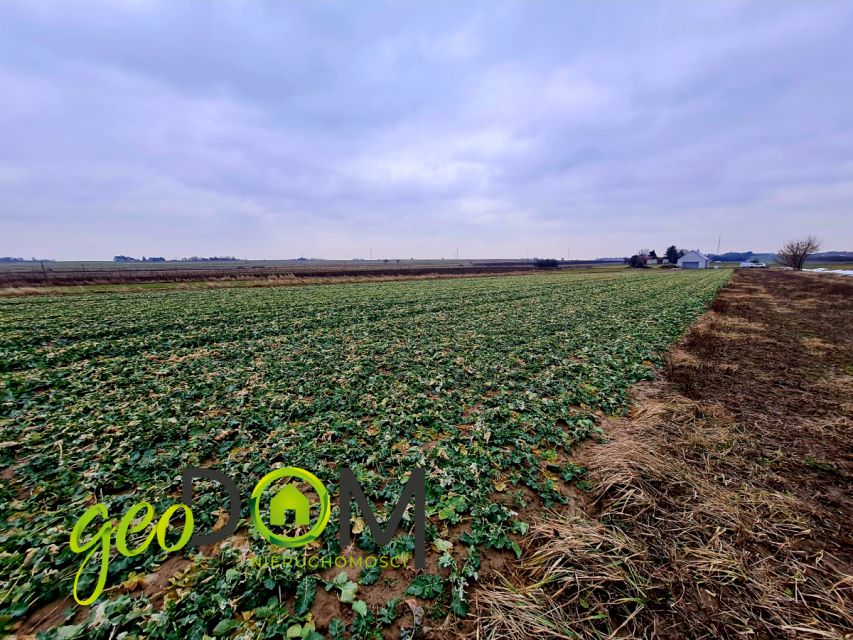 Działka budowlana Pliszczyn