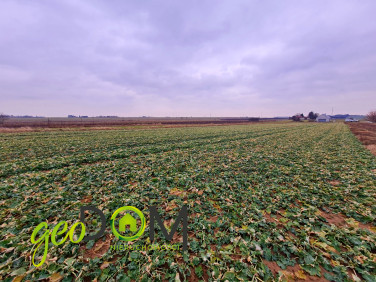 Działka budowlana Pliszczyn