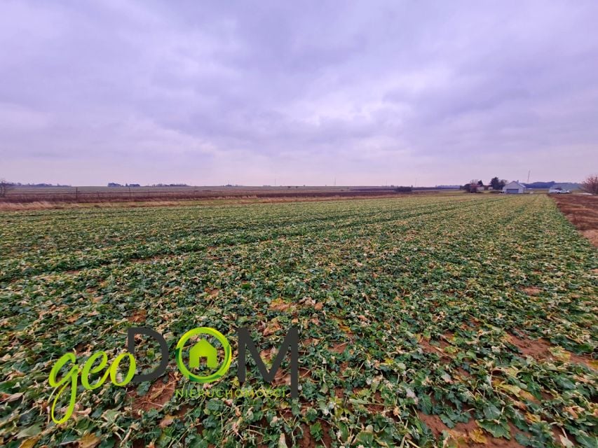 Działka budowlana Pliszczyn