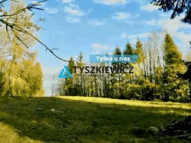 Działka nad jeziorem
