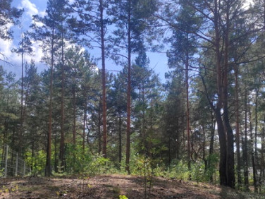 Działka budowlana Radzymin