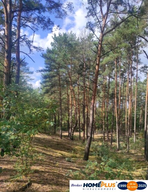 Działka budowlana Łosie sprzedam