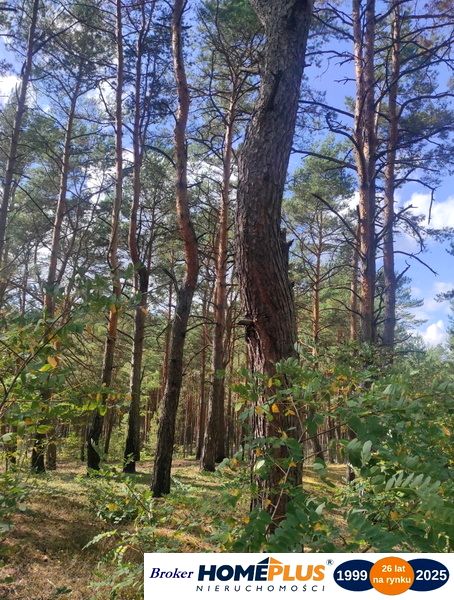 Działka budowlana Radzymin sprzedam