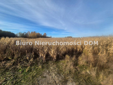 Pusta działka Łochynia