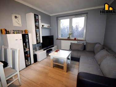 Mieszkanie Rybnik sprzedaż